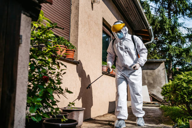Best Flea Control Services  in Goshen, CA